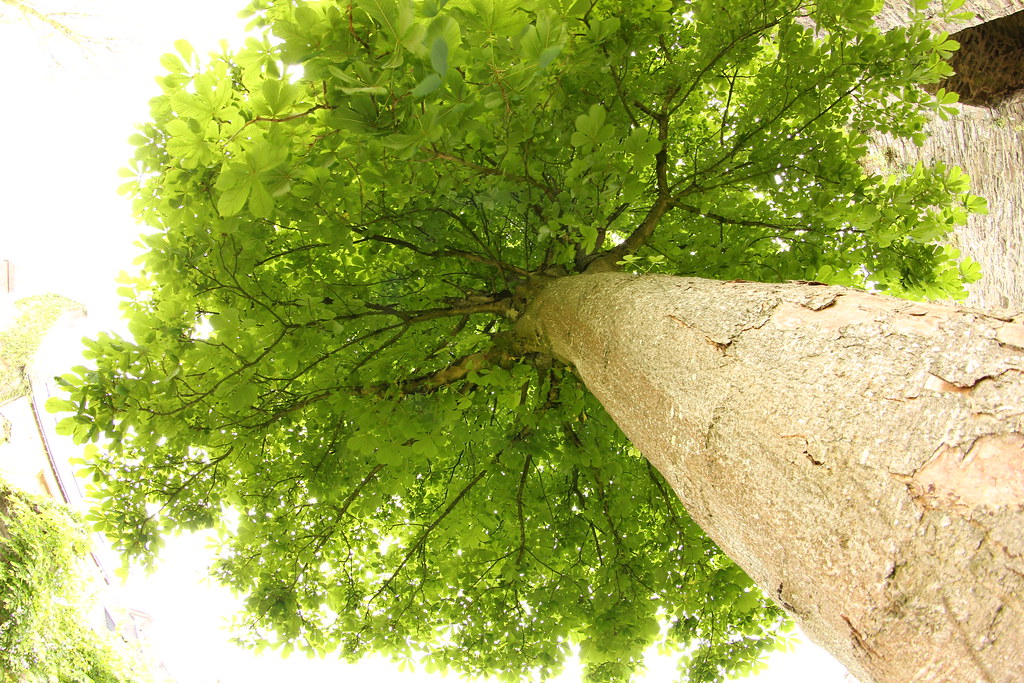 15805719812 68bbaa663d B