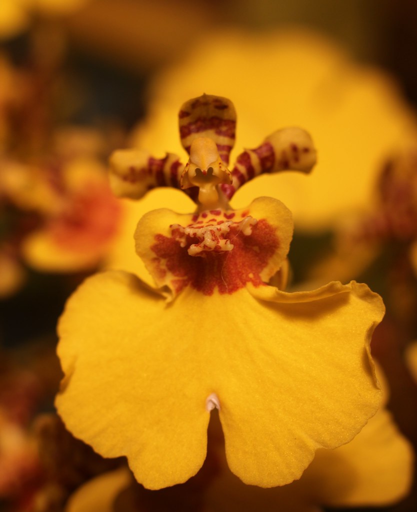 5558636740 244fe202cc B