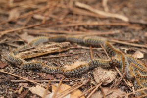 5587070722 63ceea165e B 300x200