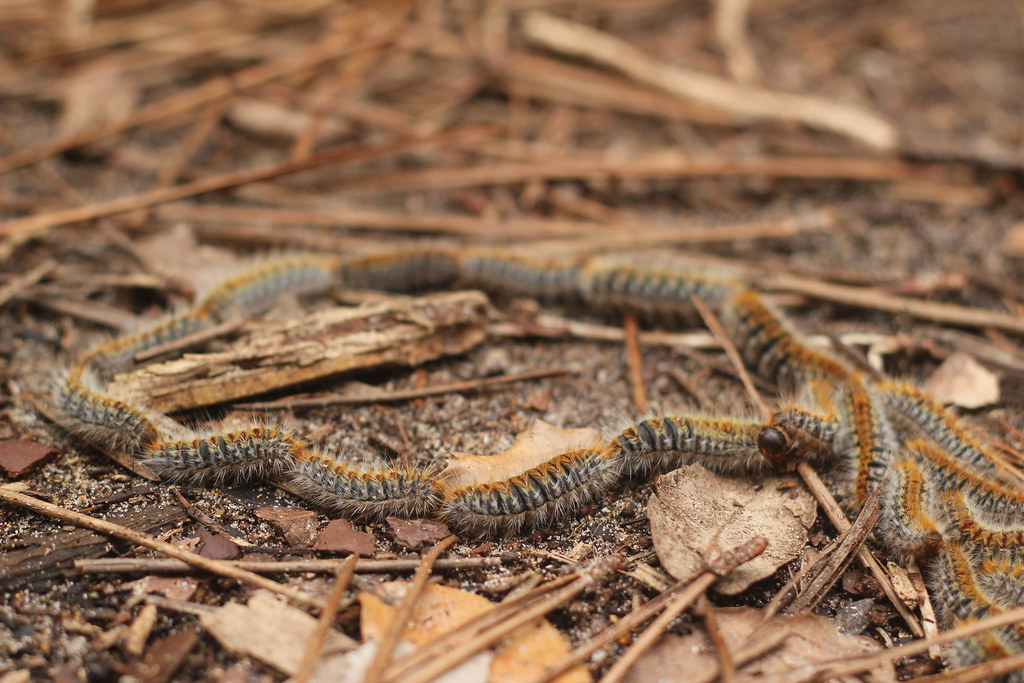 5587070722 63ceea165e B