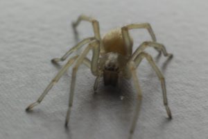 5587075986 551757150b B 300x200