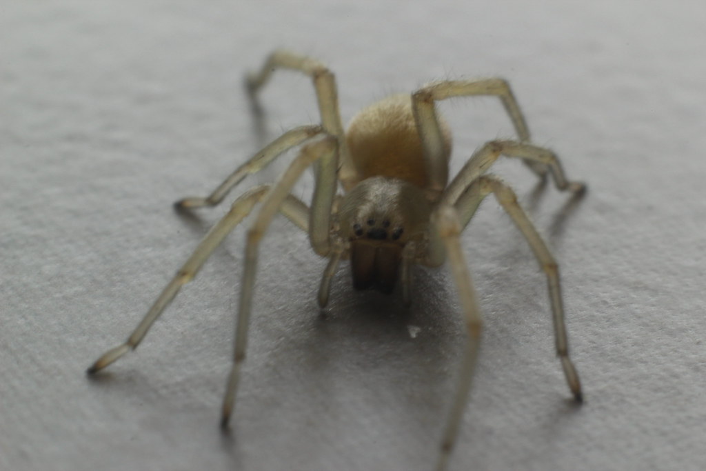 5587075986 551757150b B