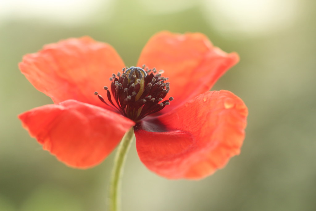 5738066372 8cfc3d29dc B