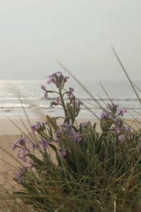 5755828773 0fb7902969 B 200x300