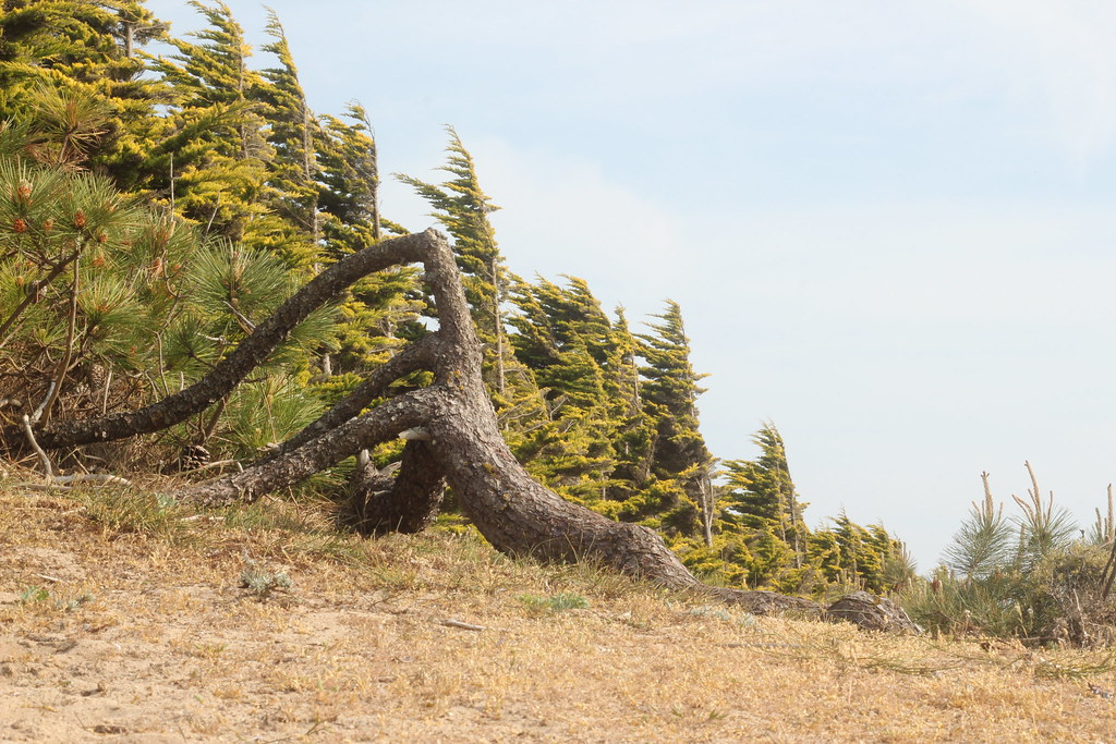 5755832723 5f6d5289c2 B