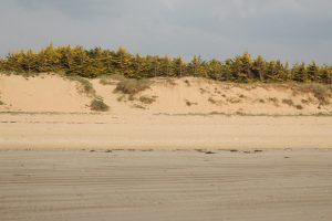 5755836387 27472b9dc6 B 300x200