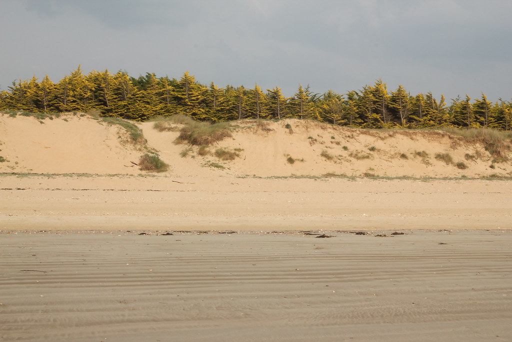 5755836387 27472b9dc6 B