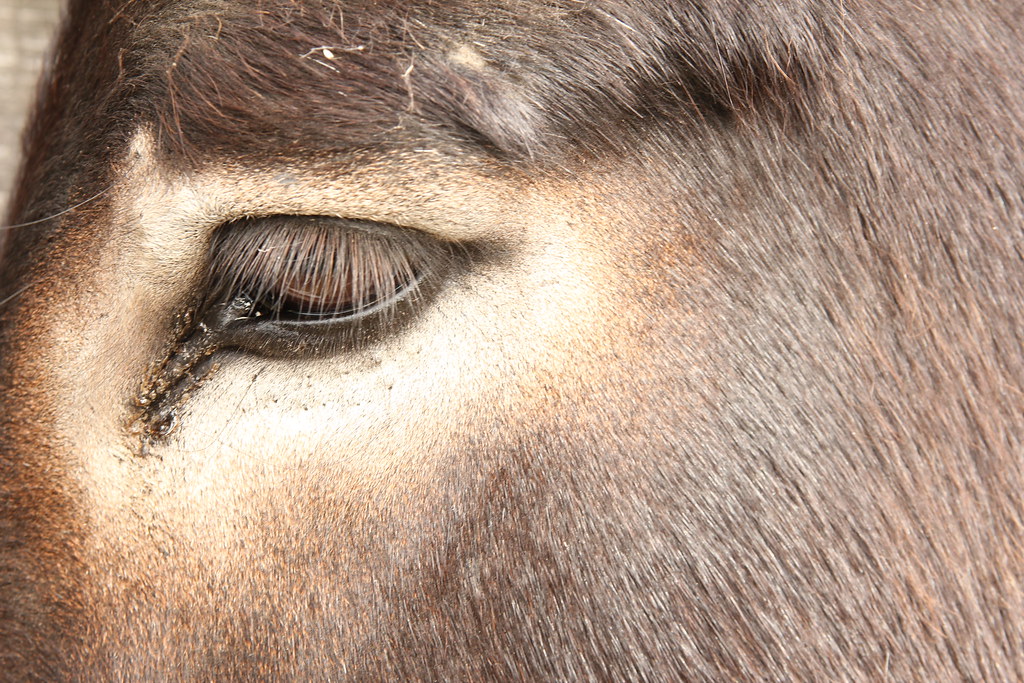 6112388323 27046de336 B