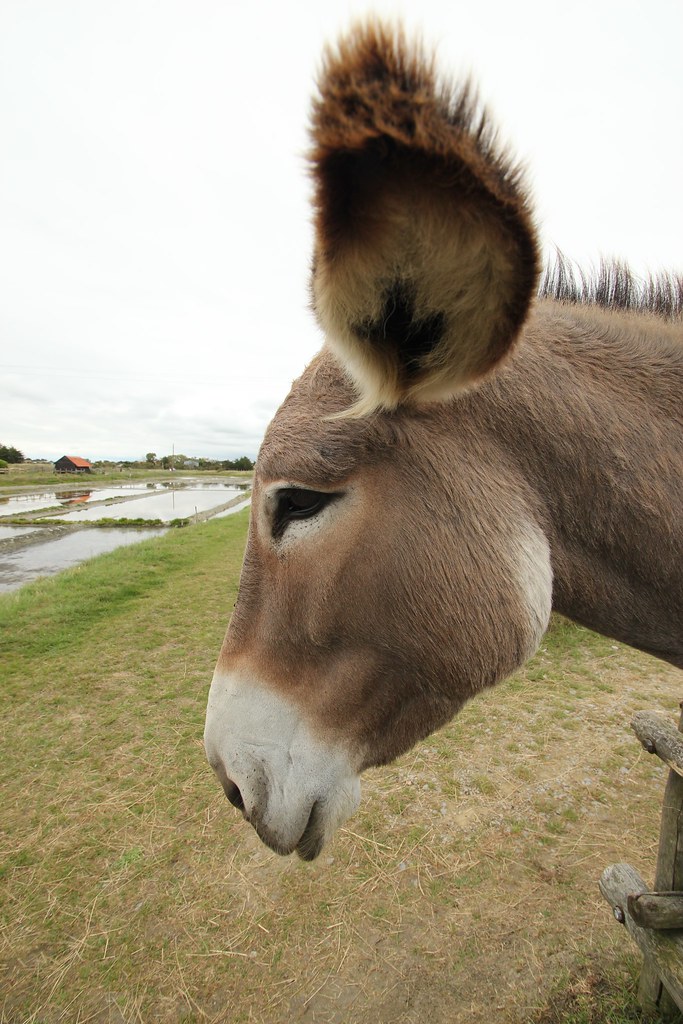 6112430649 F2376cd9d7 B