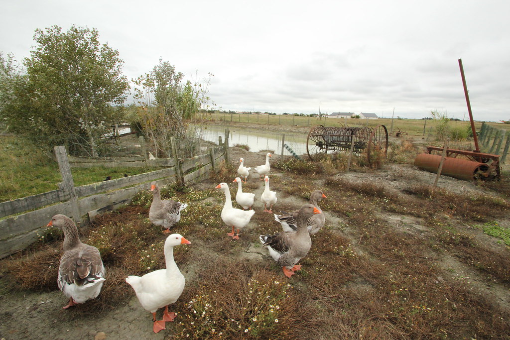 6112445111 33911a20e6 B