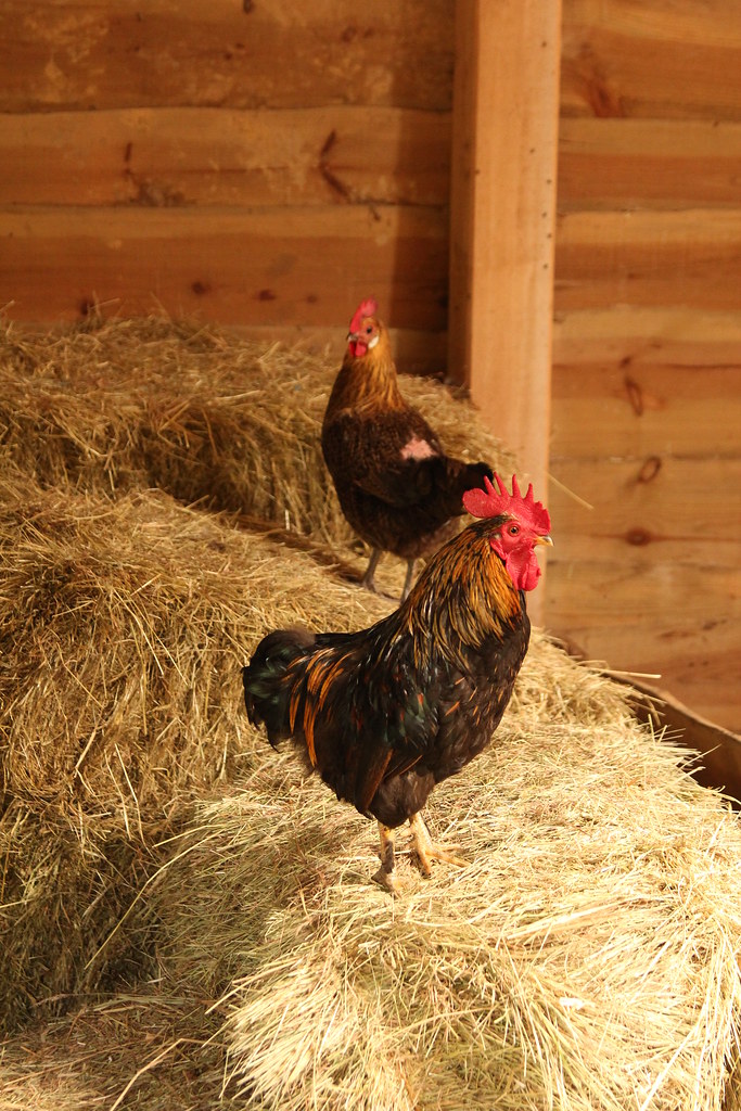 6124838729 844234e8da B