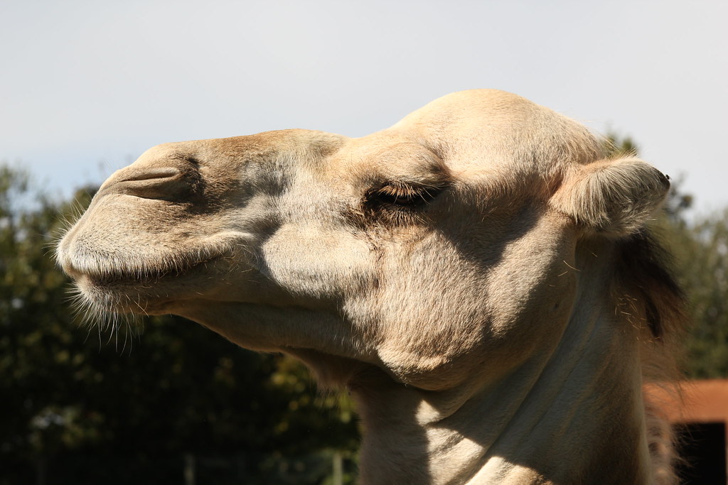 6124846513 F92023fa64 B