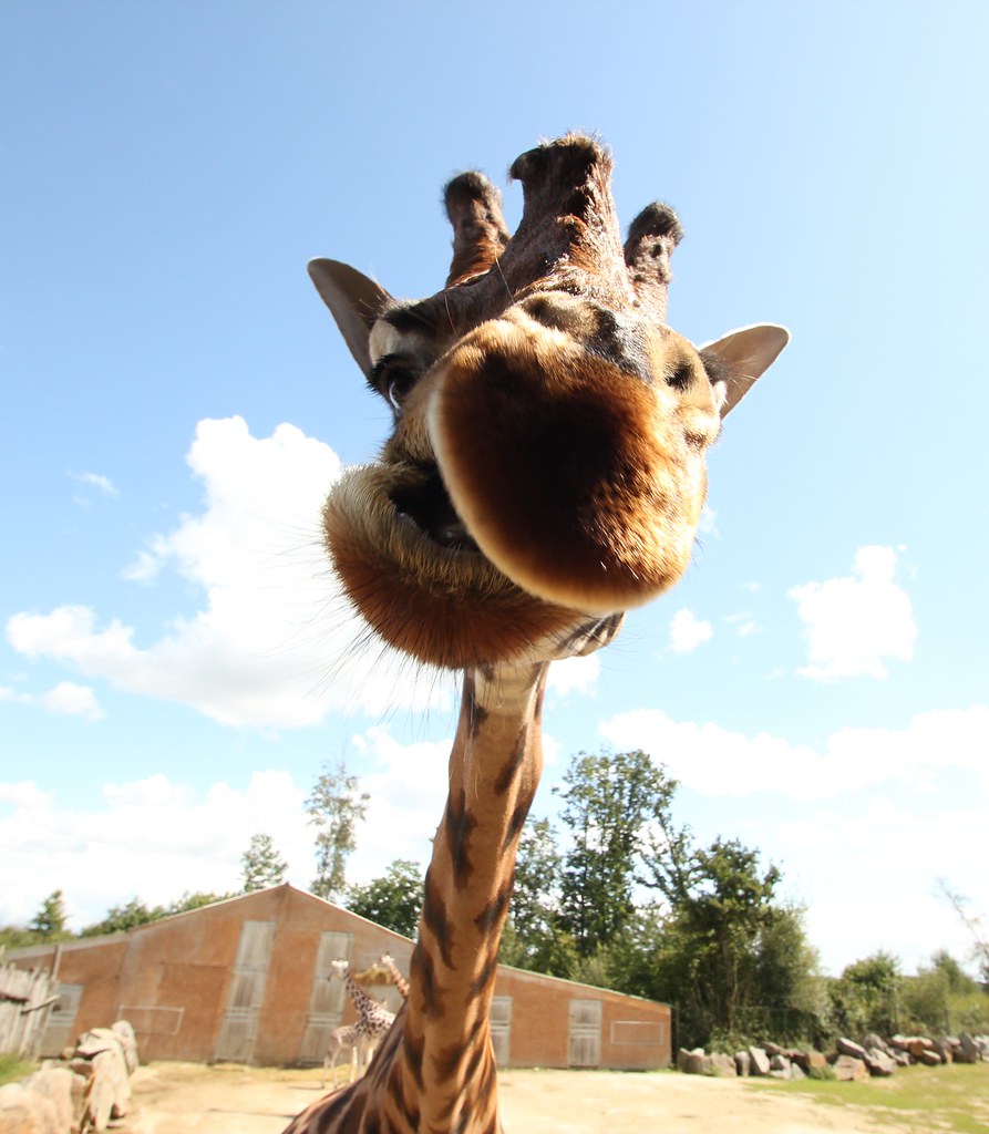 6125449848 B88c4f58b7 B