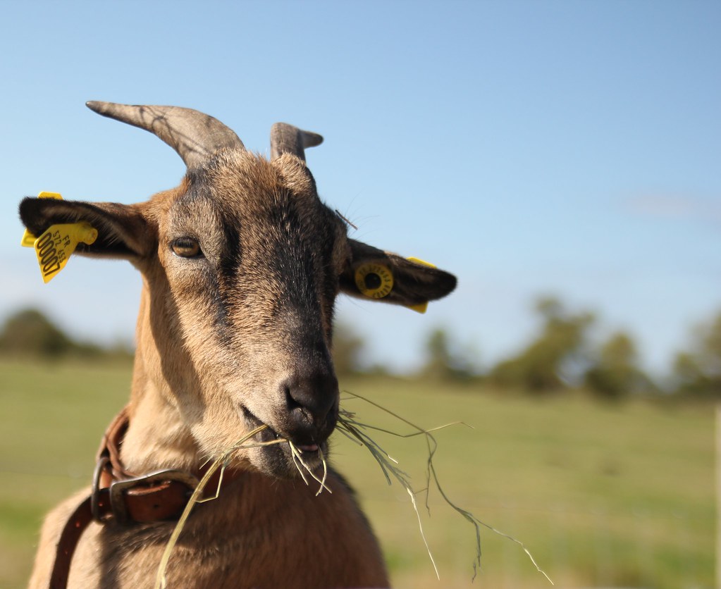 6128413556 37cd7324b6 B