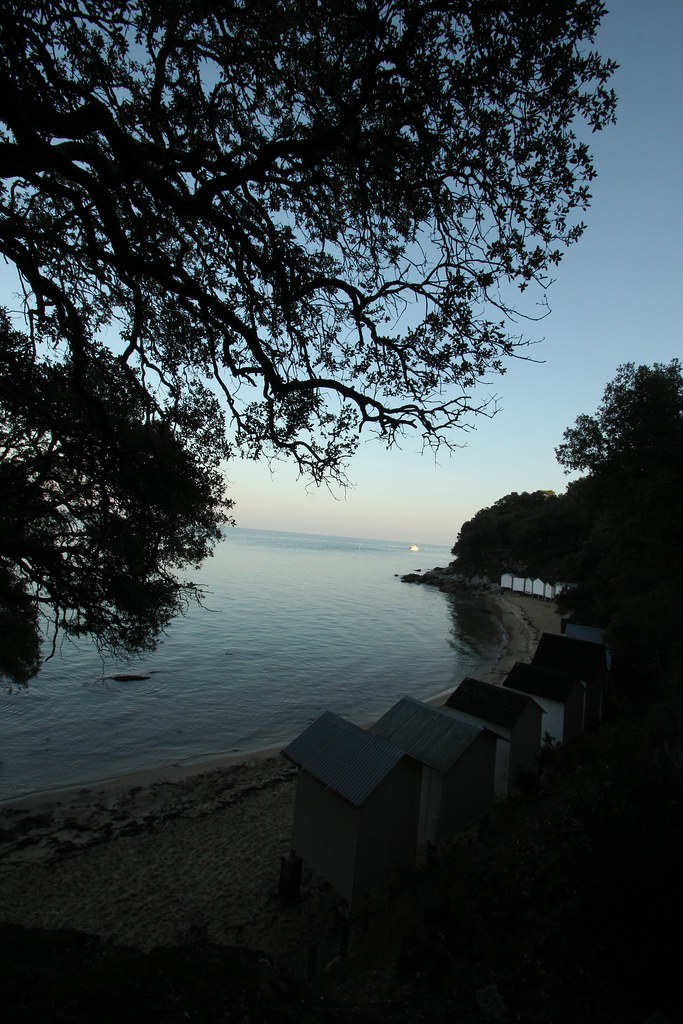 6251061685 Bea437b746 B