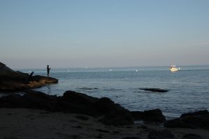 6251455818 7e2021f97f B 300x200