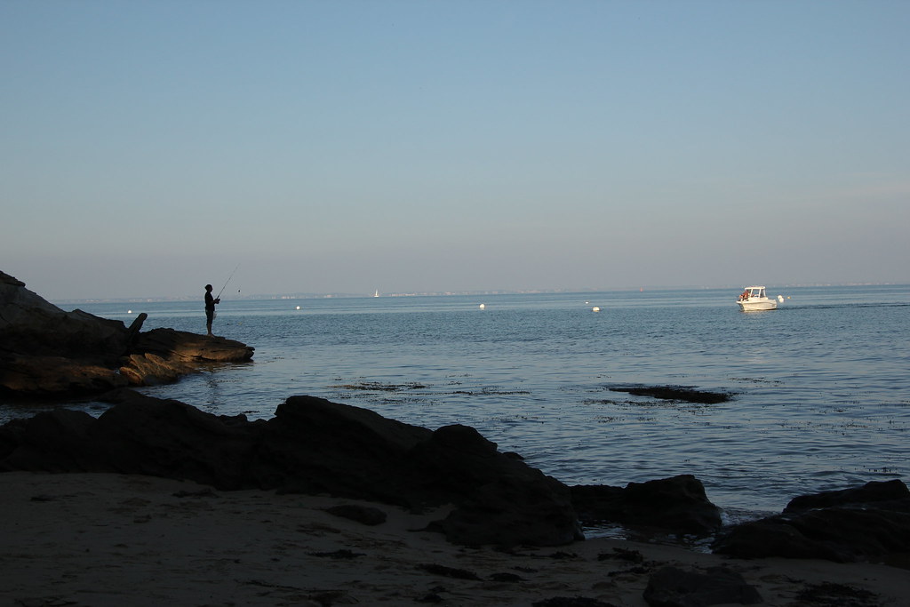 6251455818 7e2021f97f B