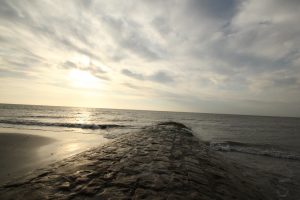 6277281309 9061d82668 B 300x200