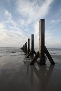 6277324597 62fe5582a1 B 200x300