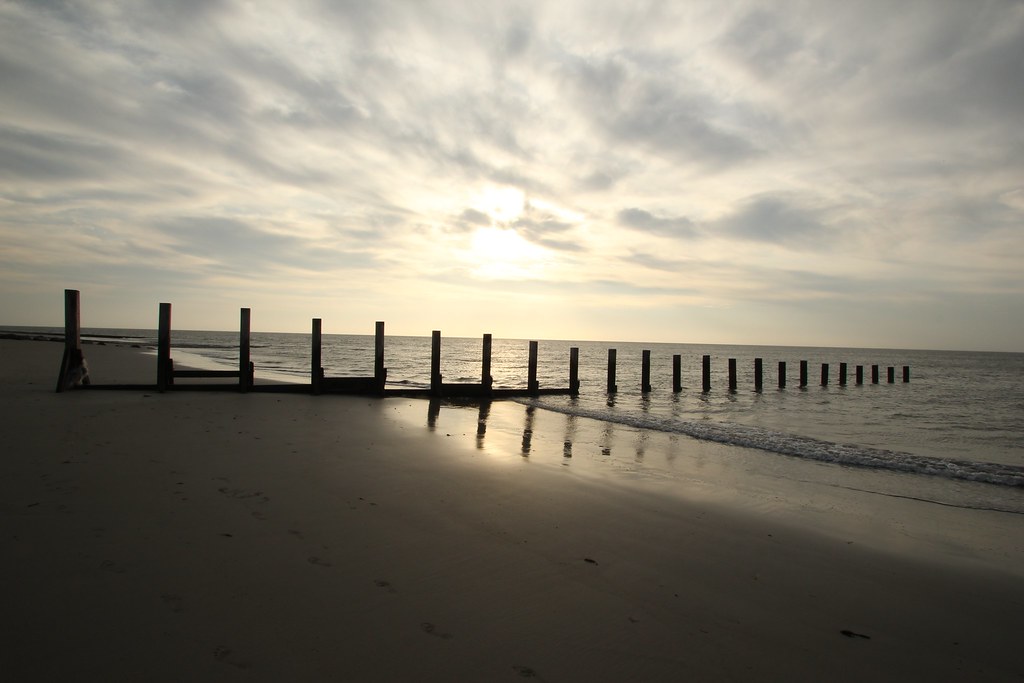 6277797790 43022af216 B