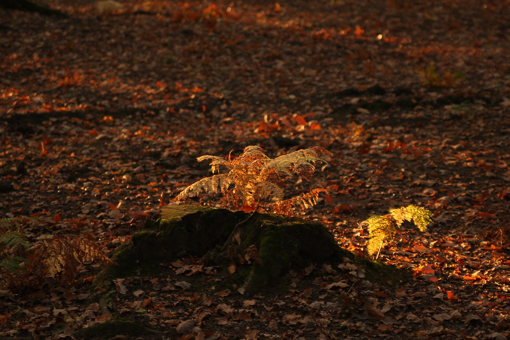 6344939375 8d08eb4672 B