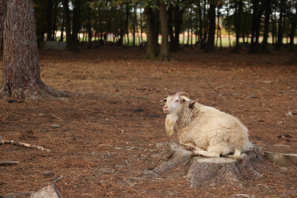 6344957285 475e69f359 B