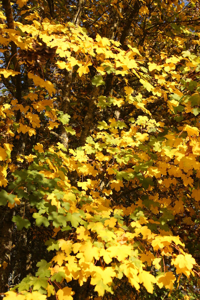 6344979345 Fcdd7d4a56 B