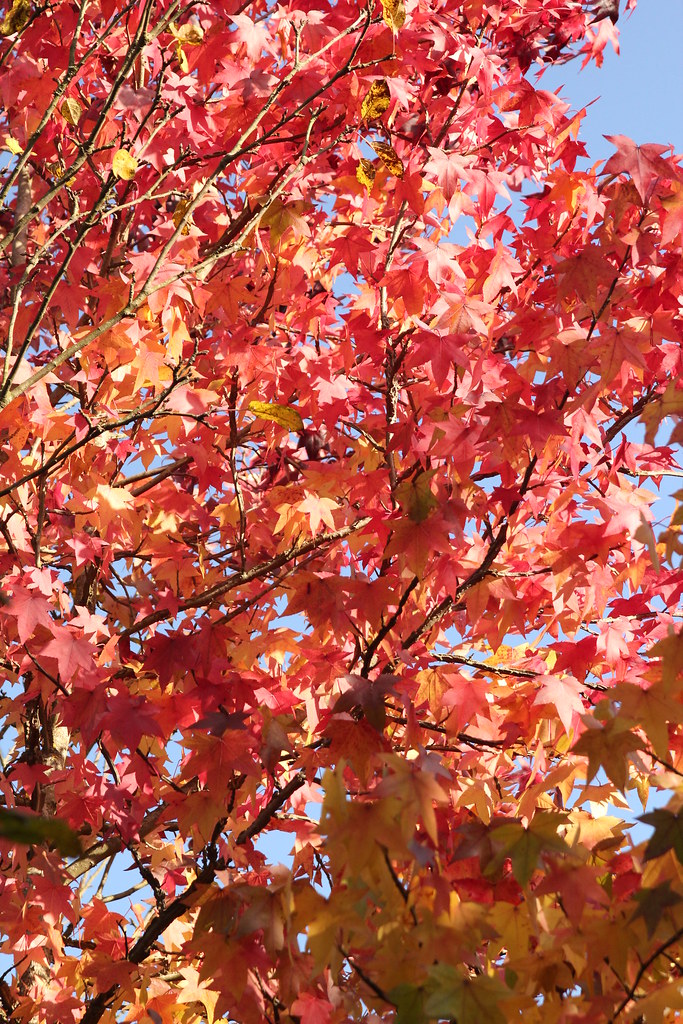 6344991943 776e4d7e6d B