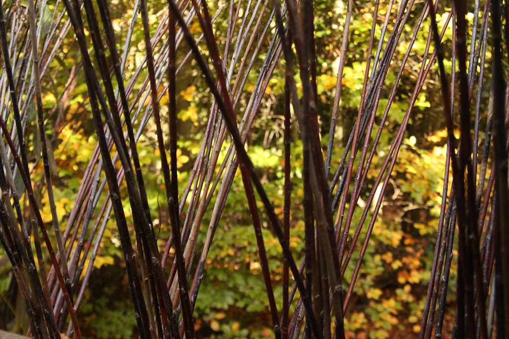 6344996451 27e6dda611 B