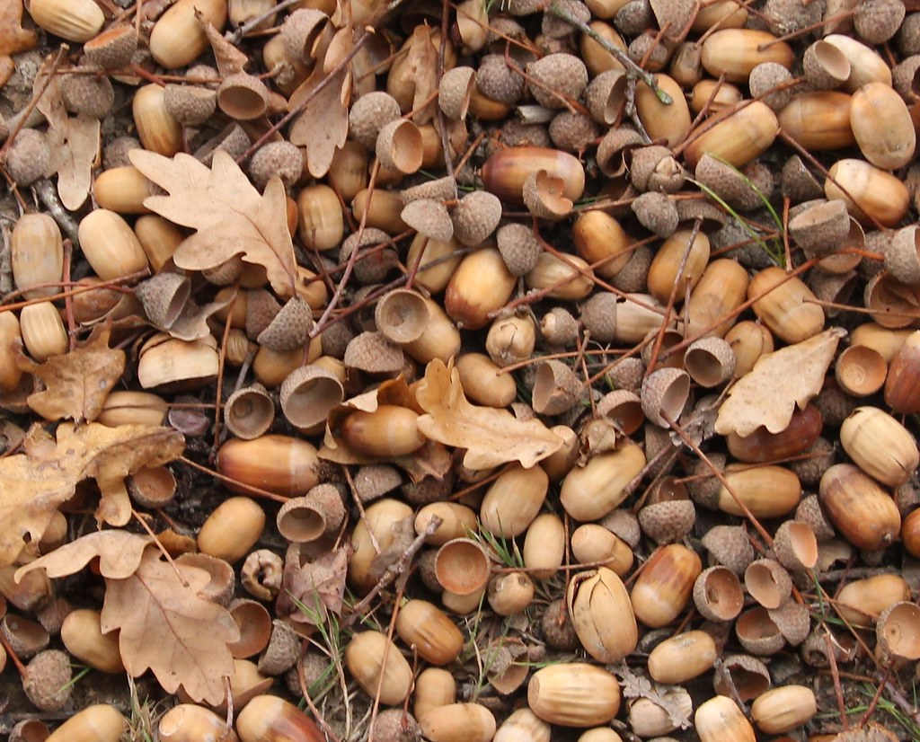 6345049527 4ae9c66080 B