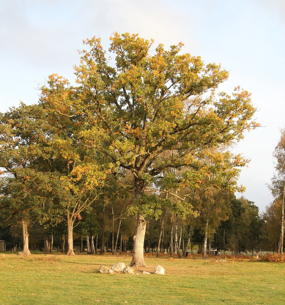 6345066355 Ac8579840c B