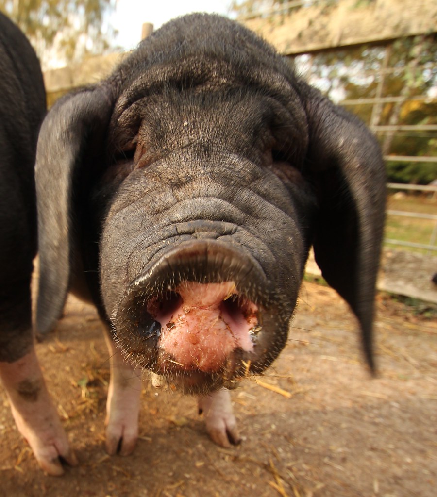 6345067483 D7c62abed8 B