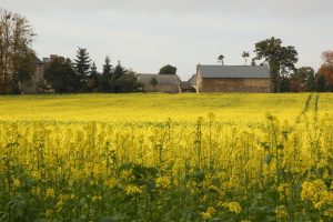 6345583294 5924731088 B 300x200