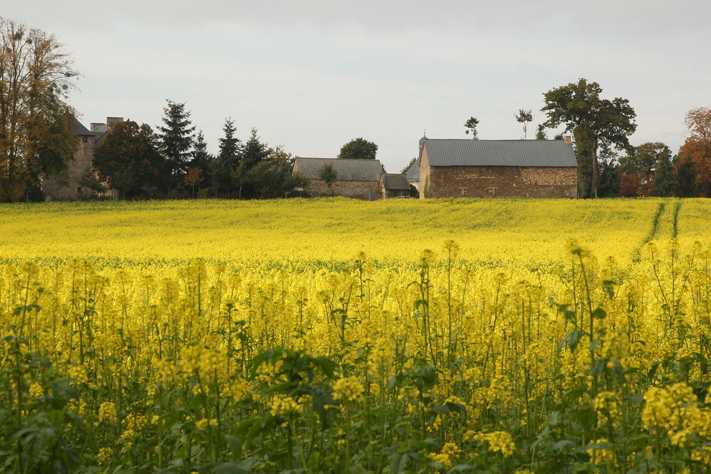 6345583294 5924731088 B