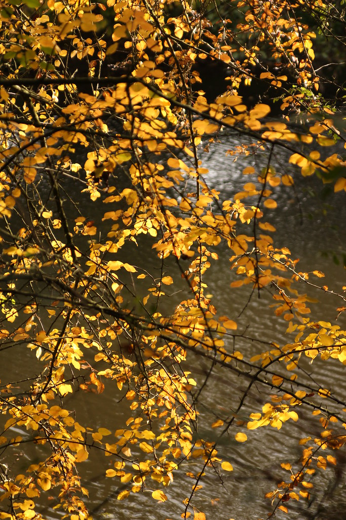 6345612700 F00075c4be B