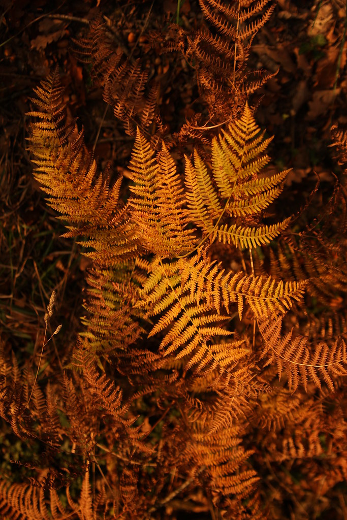 6345682840 B1b1433d4d B